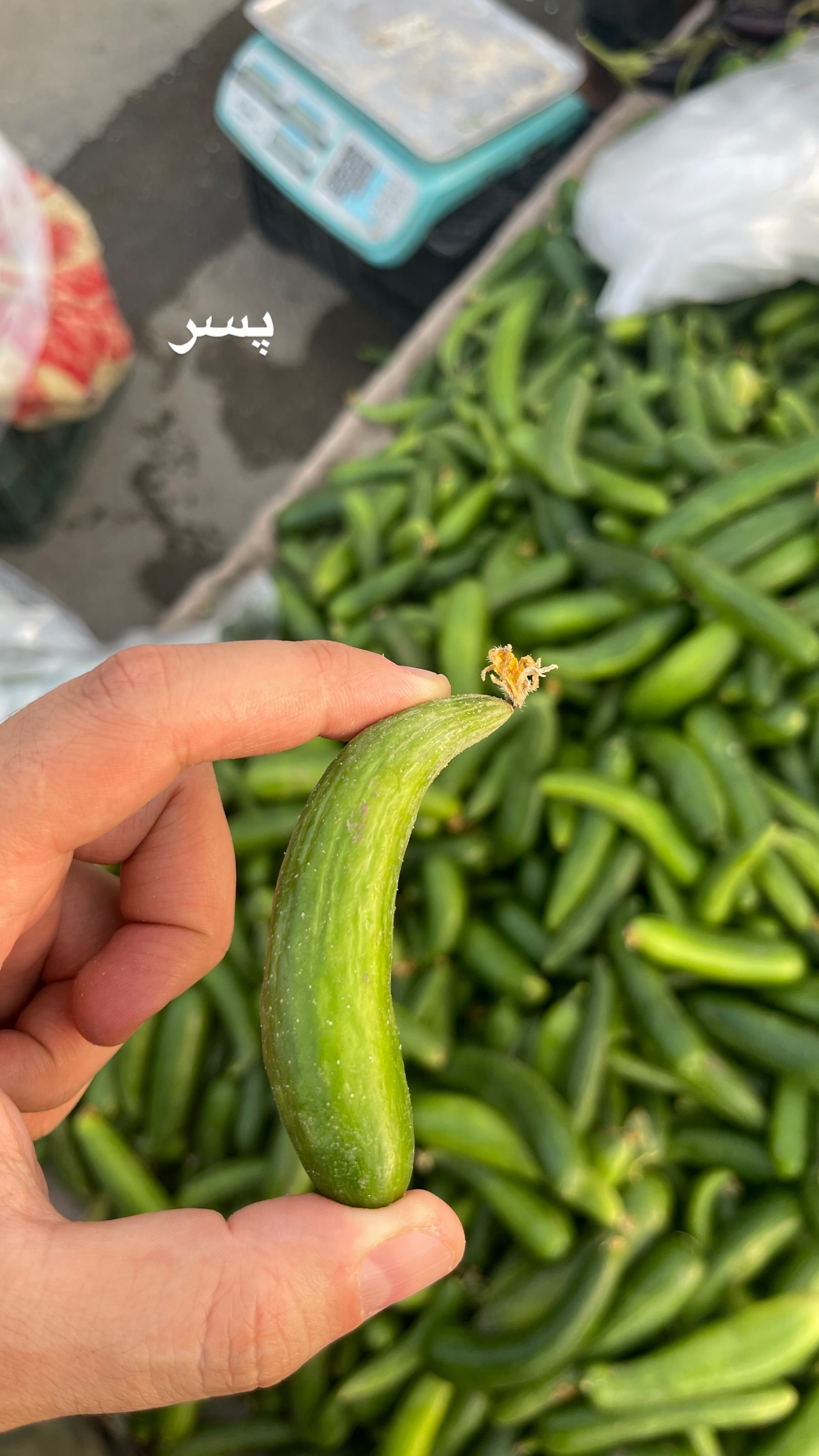  جدید ترین استوری اینستاگرام نوید غیاثی