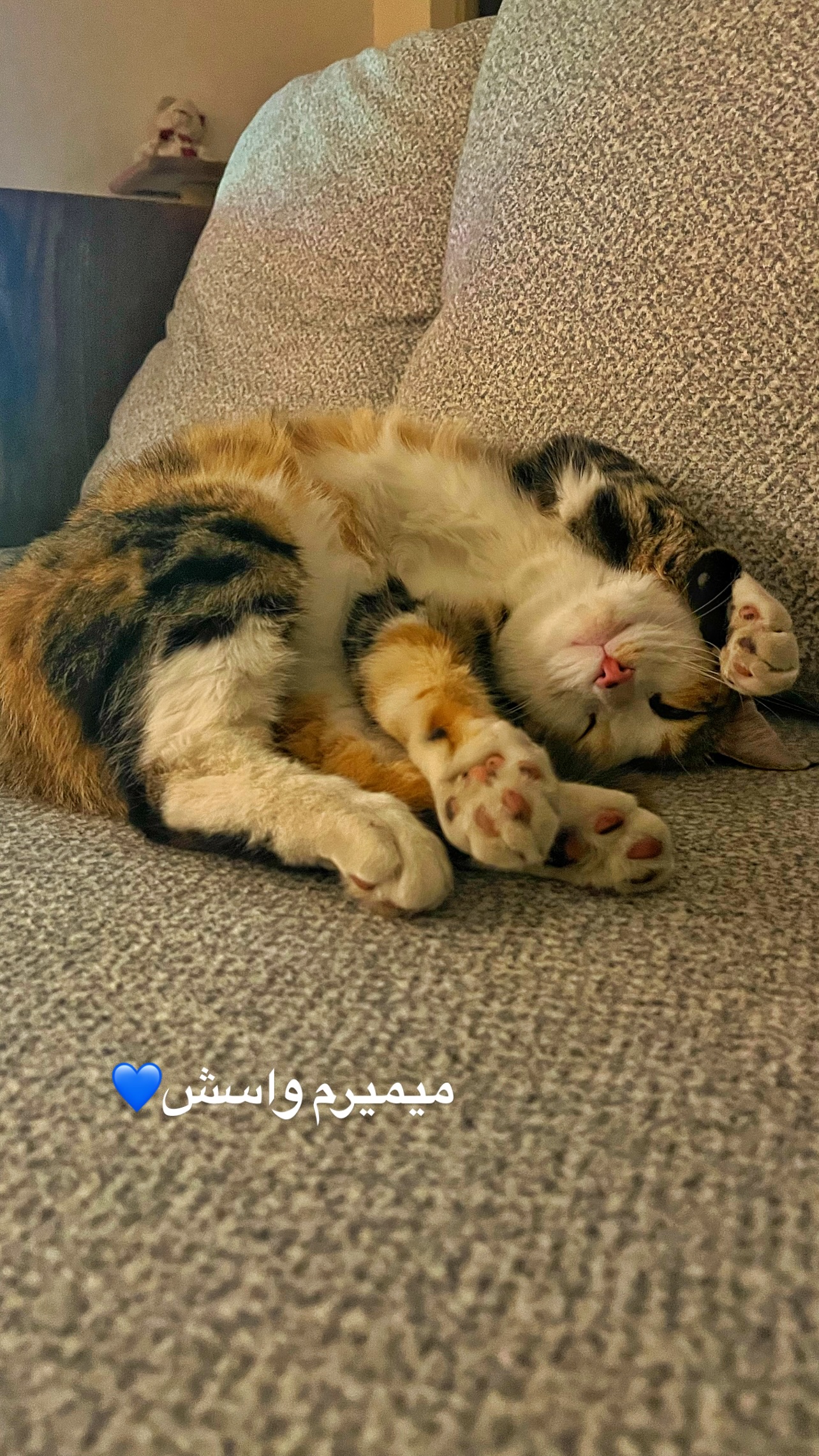  جدید ترین استوری اینستاگرام نوید غیاثی