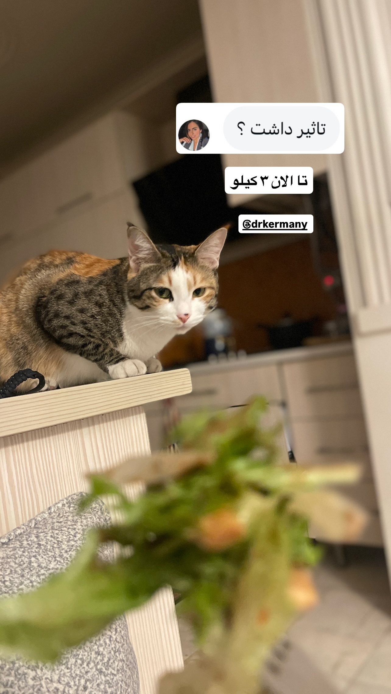  جدید ترین استوری اینستاگرام نوید غیاثی