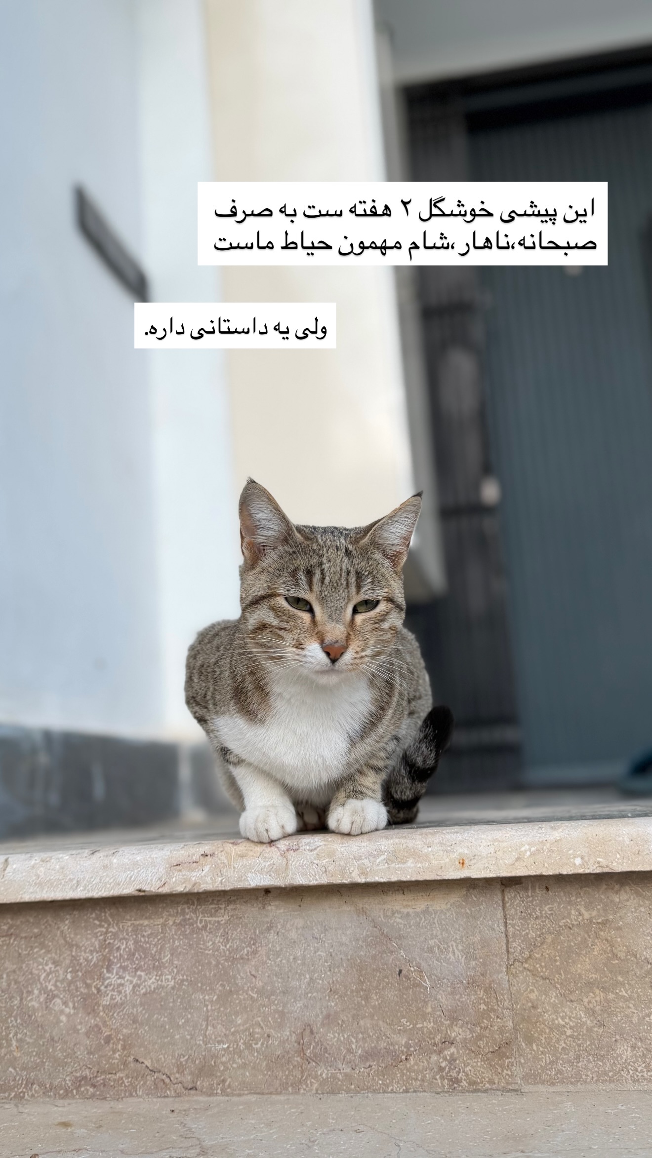  جدید ترین استوری اینستاگرام نوید غیاثی