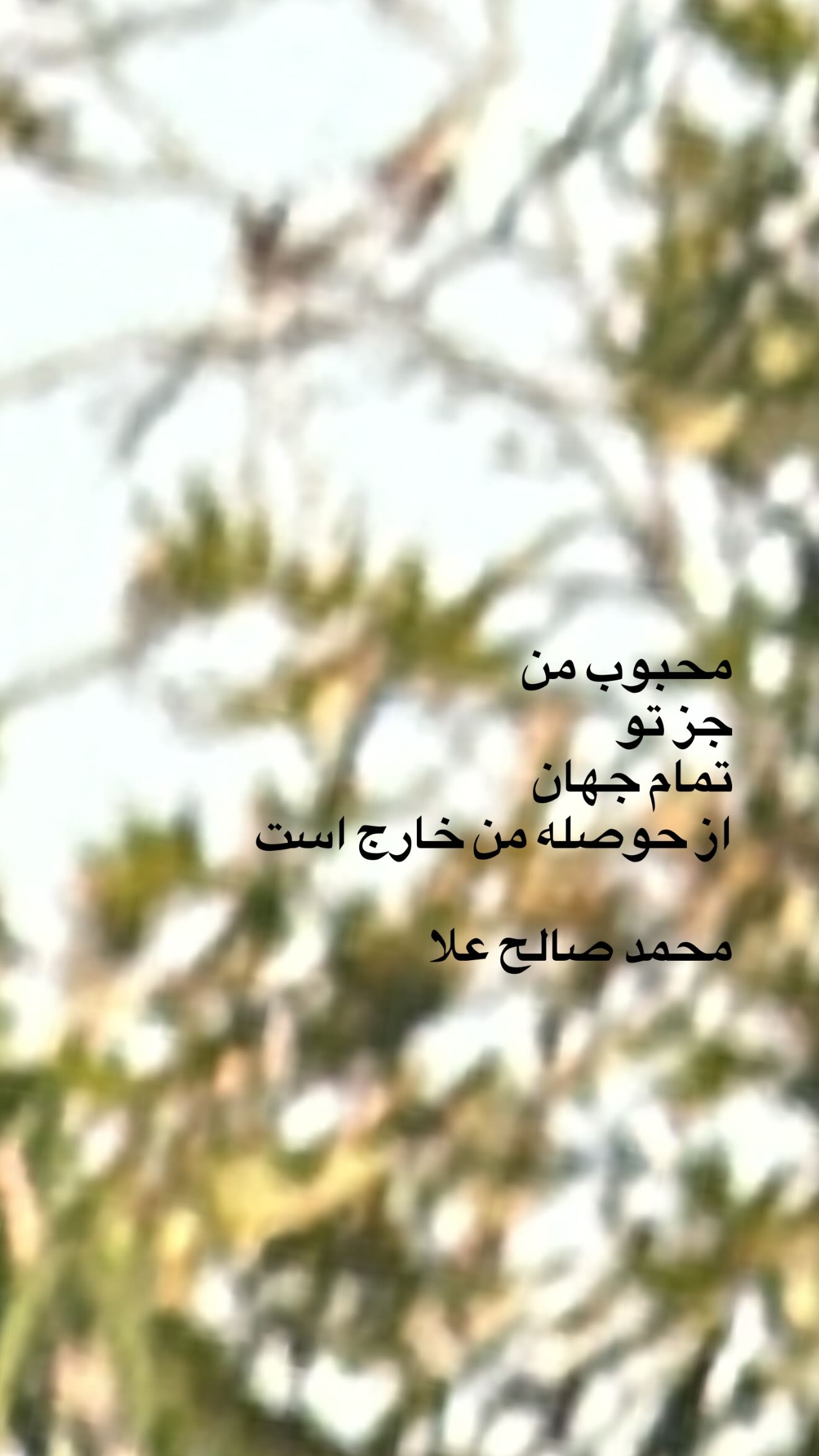  جدید ترین استوری اینستاگرام نوید محمودی