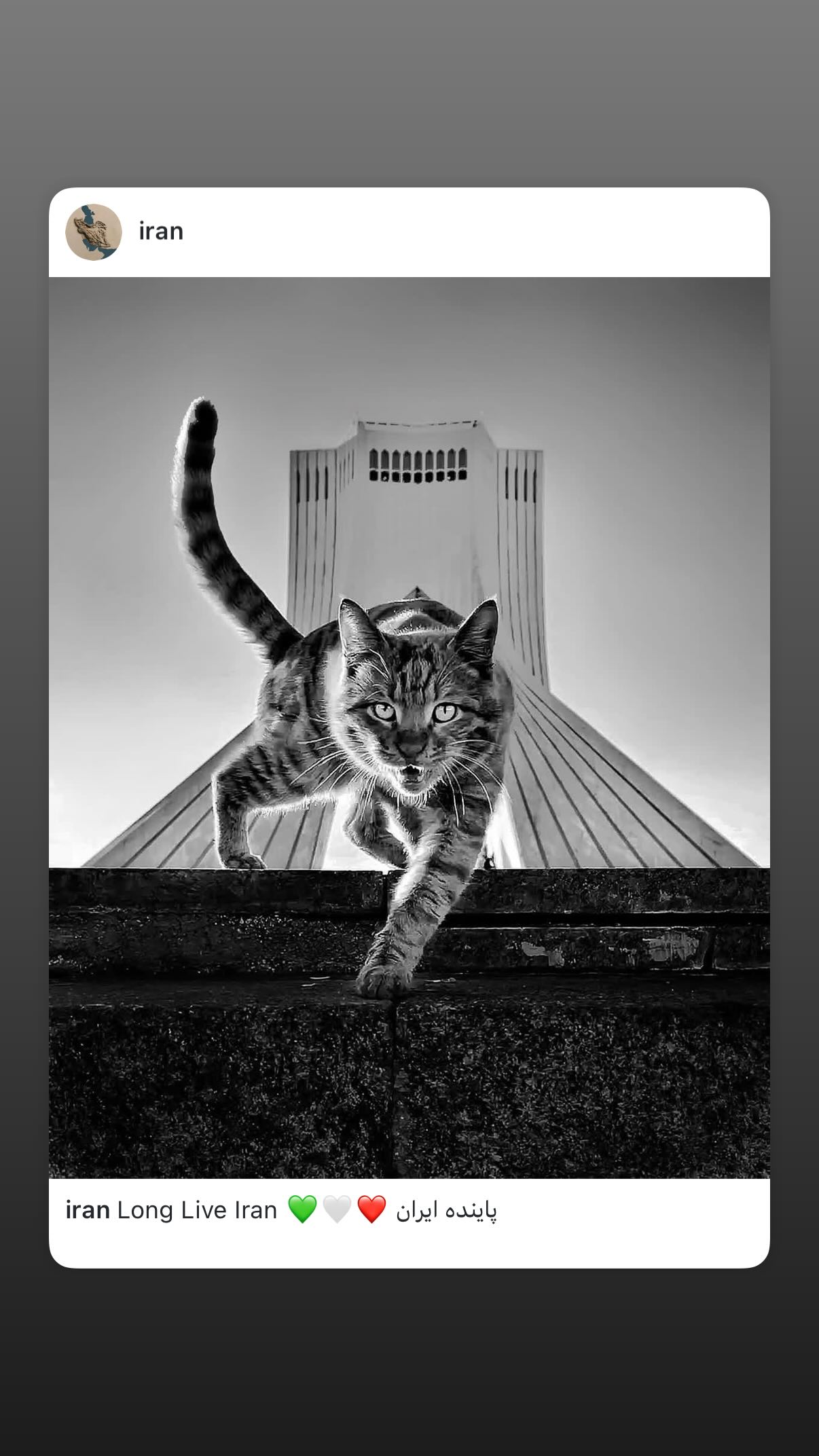  جدید ترین استوری اینستاگرام نوید محمد زاده
