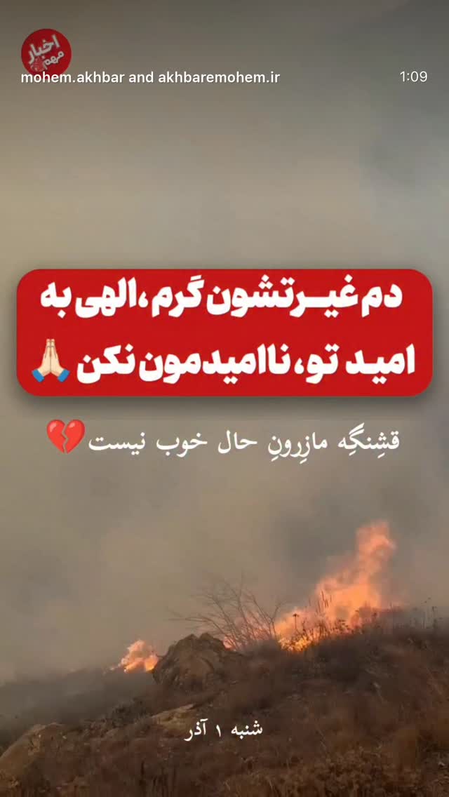  جدید ترین استوری اینستاگرام نوید پورفرج
