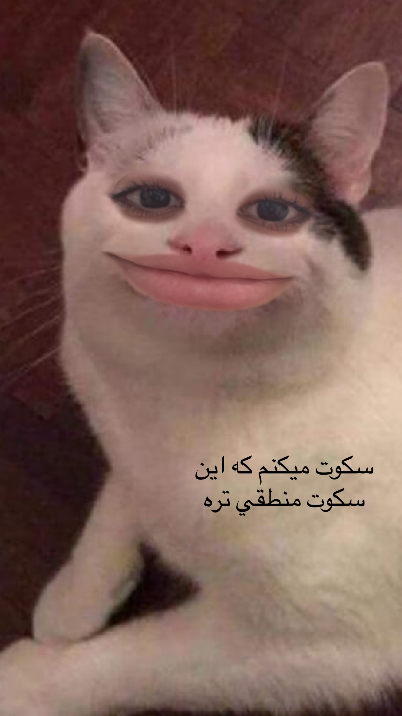  جدید ترین استوری اینستاگرام نازنین بهبودی
