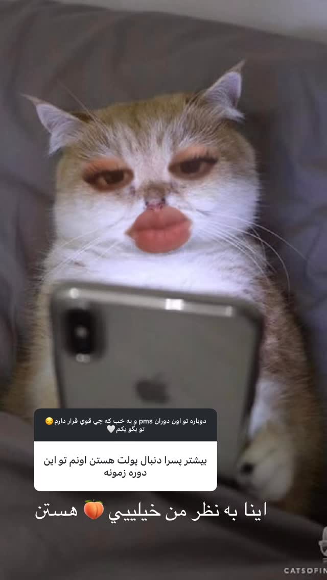  جدید ترین استوری اینستاگرام نازنین بهبودی
