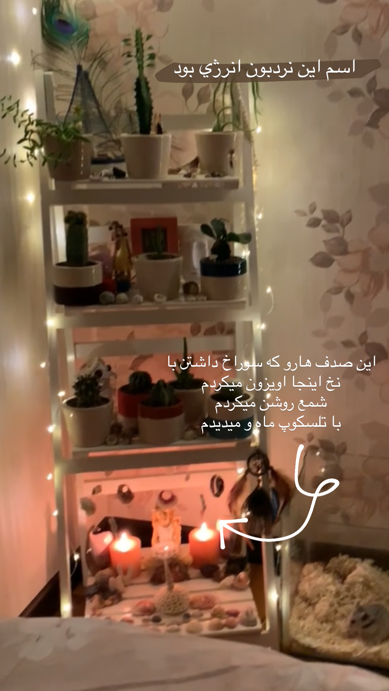  جدید ترین استوری اینستاگرام نازنین بهبودی