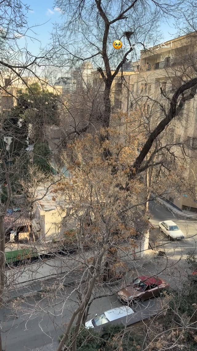  جدید ترین استوری اینستاگرام نازنین بهبودی