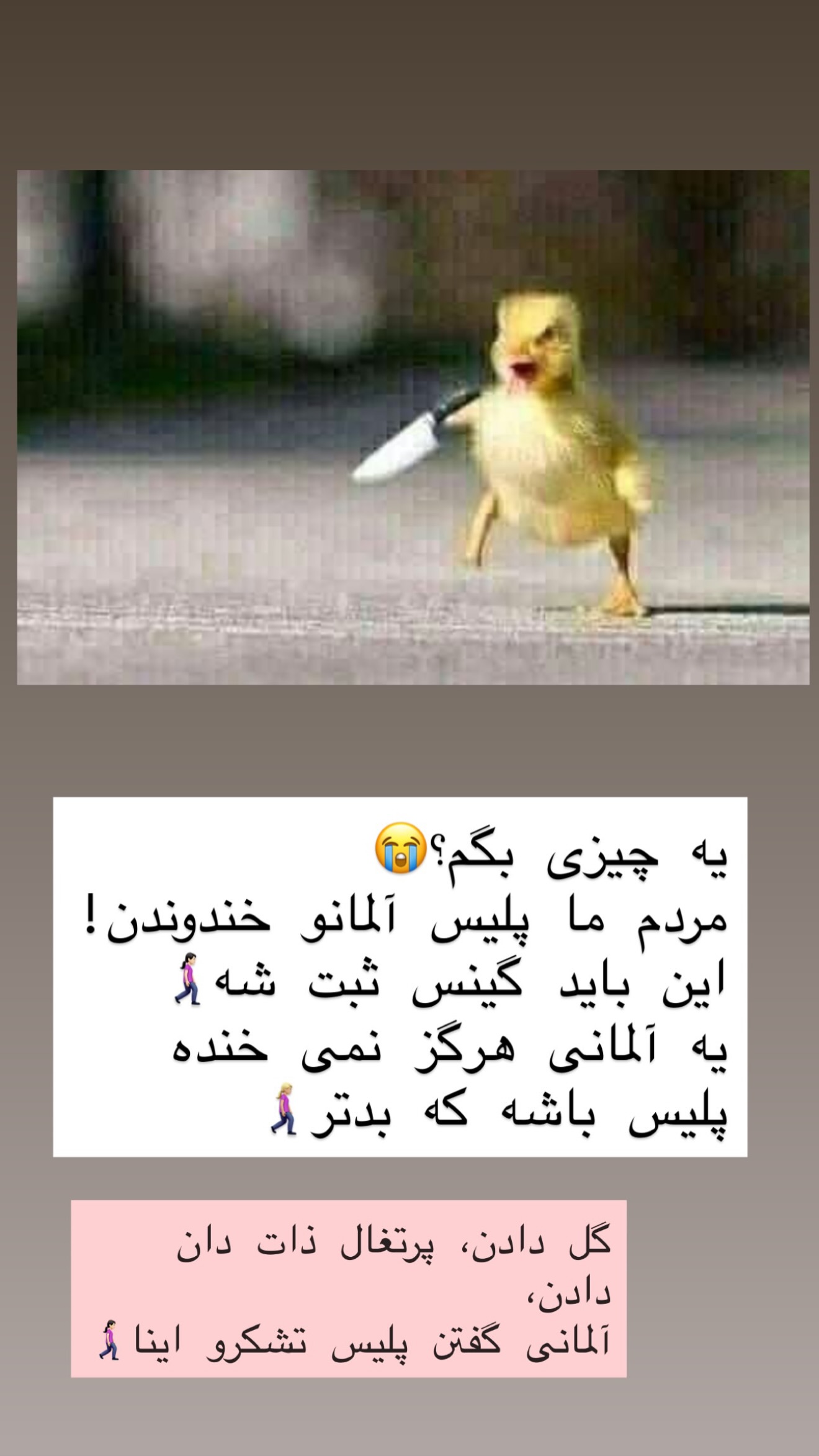  جدید ترین استوری اینستاگرام نازنین بهبودی