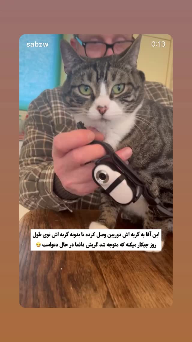  جدید ترین استوری اینستاگرام نازنین کیوانی