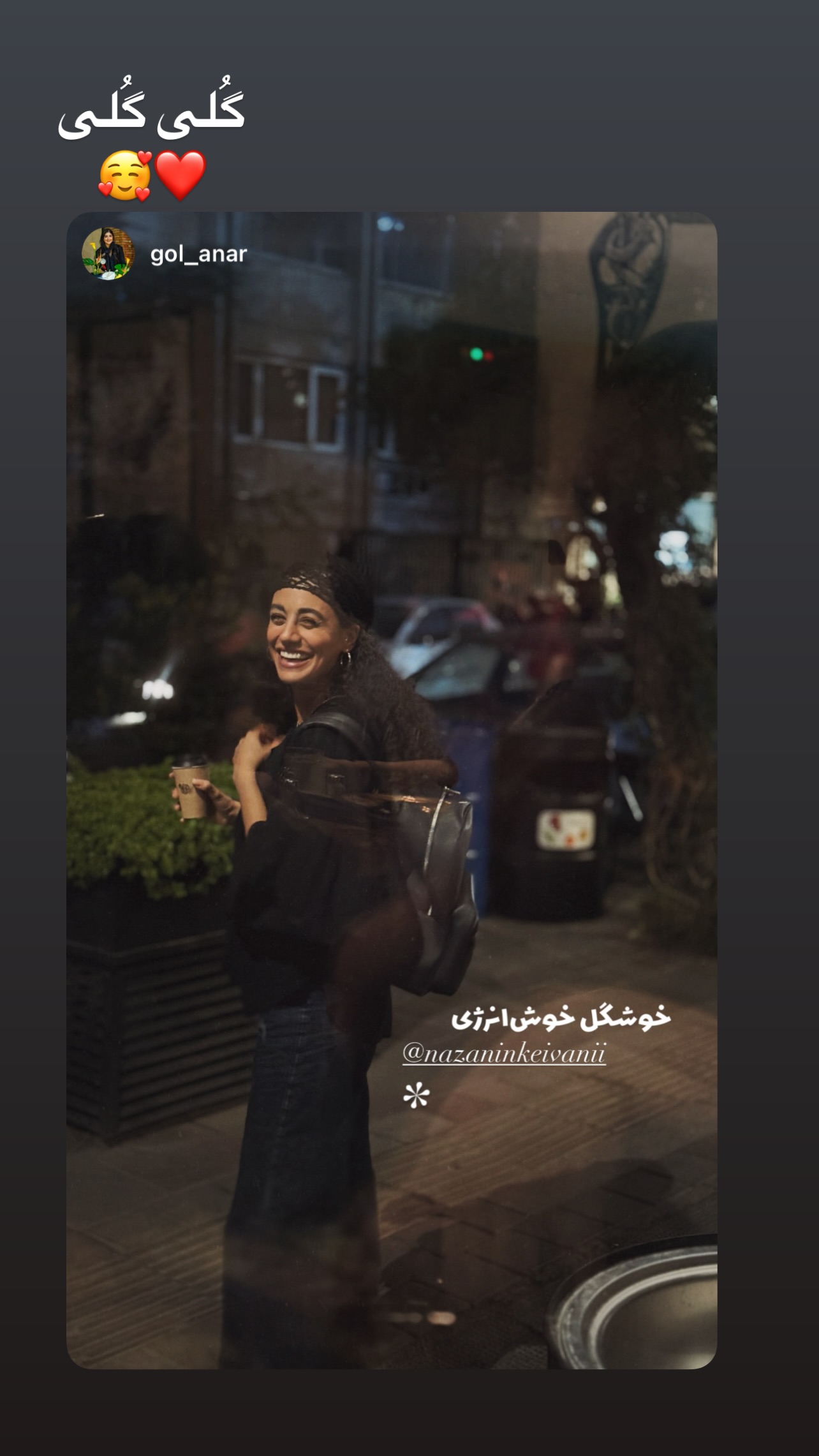  جدید ترین استوری اینستاگرام نازنین کیوانی