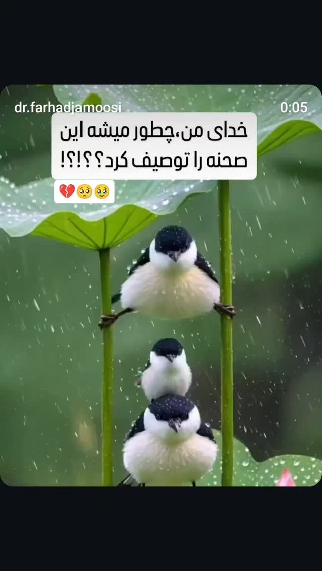  جدید ترین استوری اینستاگرام نزار القطری