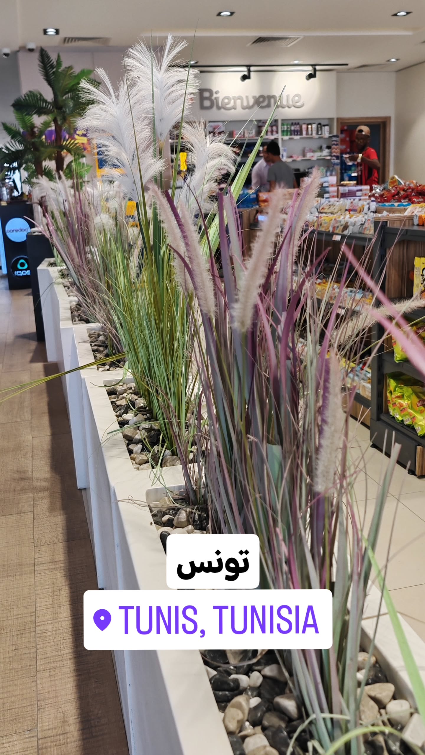  جدید ترین استوری اینستاگرام نزار القطری