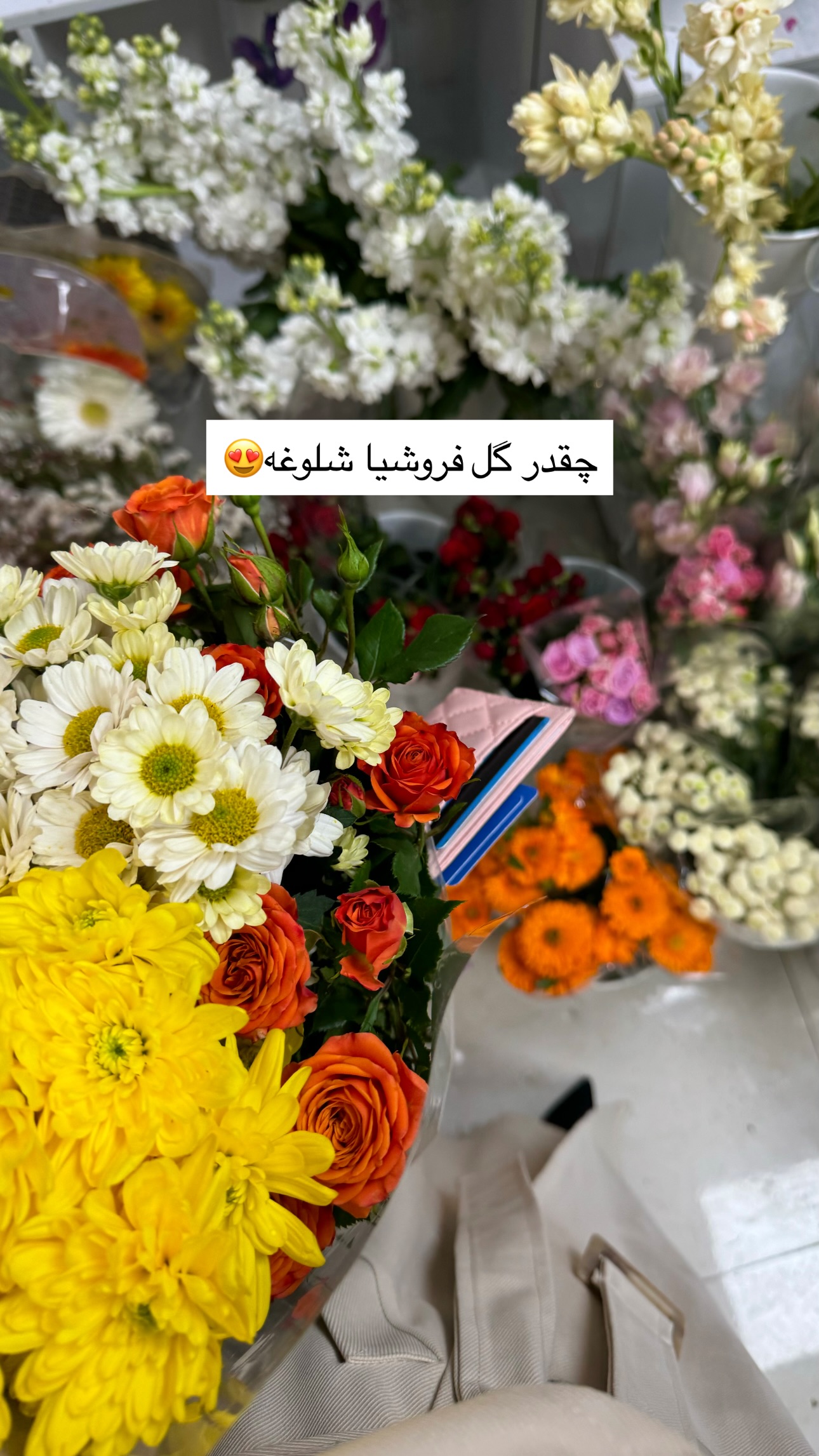  جدید ترین استوری اینستاگرام سیده ندا لنگری
