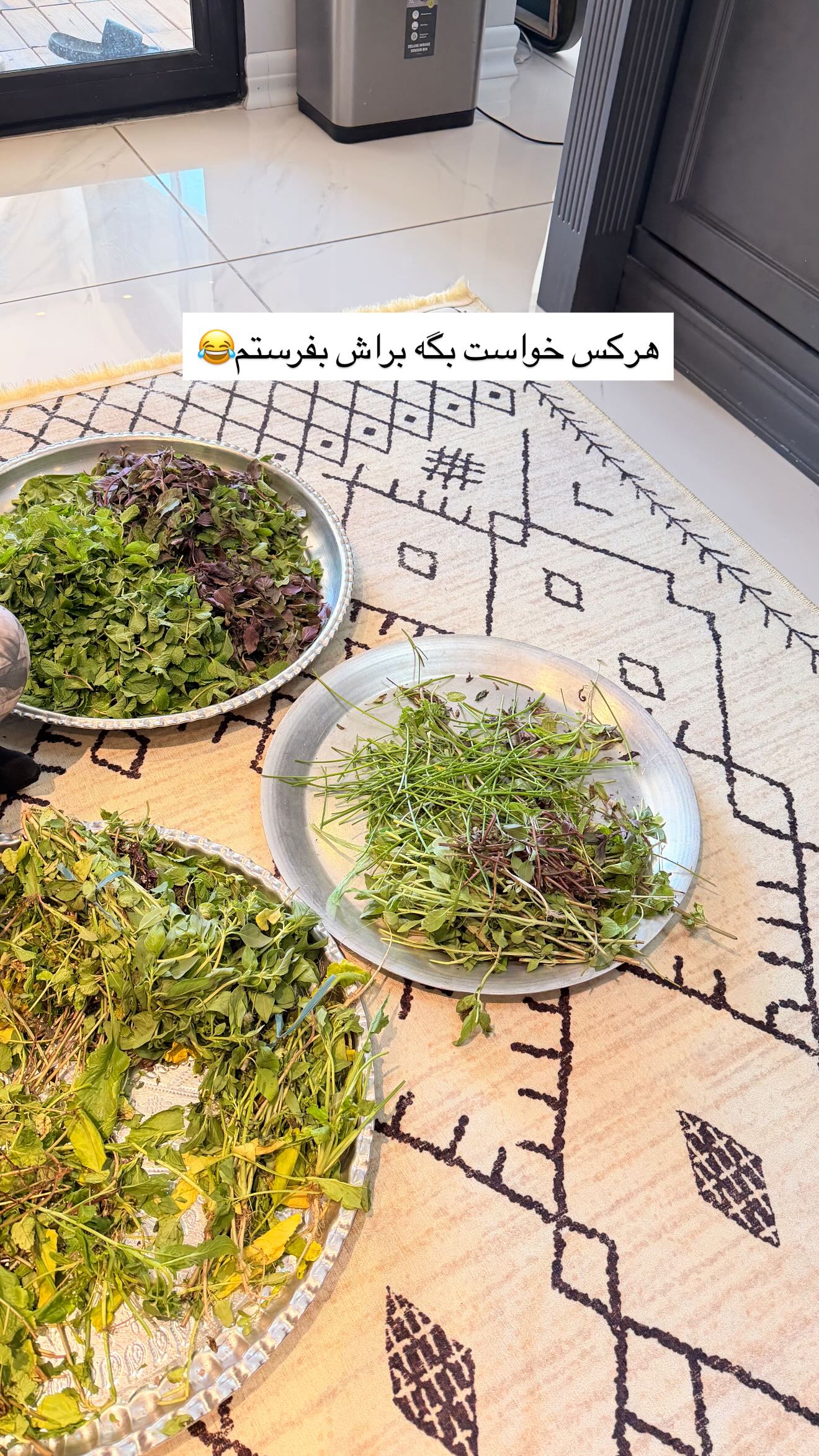  جدید ترین استوری اینستاگرام ندا (مامان فرفری)