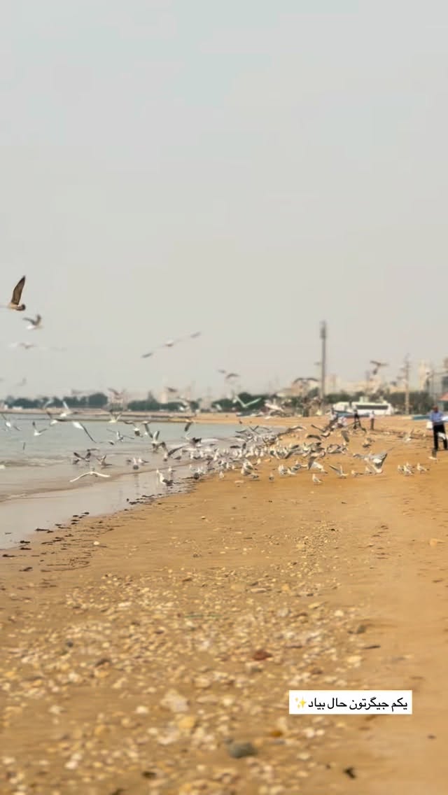  جدید ترین استوری اینستاگرام ندا (مامان فرفری)