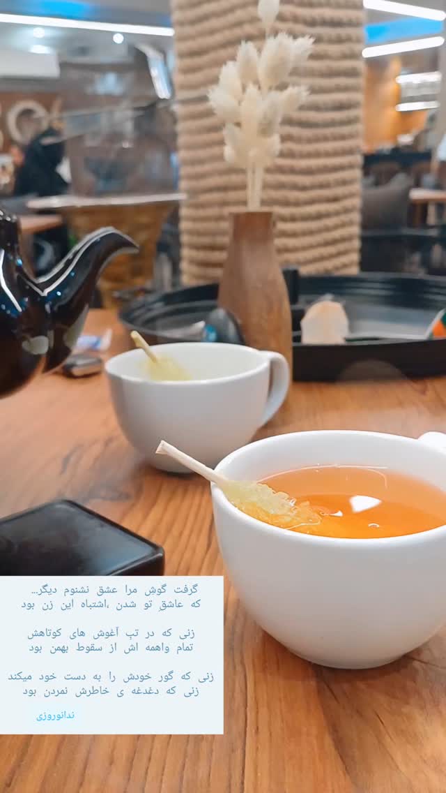  جدید ترین استوری اینستاگرام ندا نوروزی