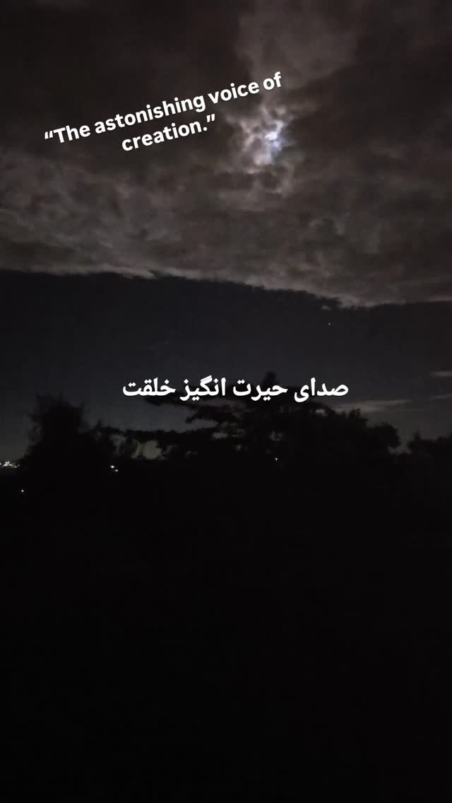  جدید ترین استوری اینستاگرام نگار استخر