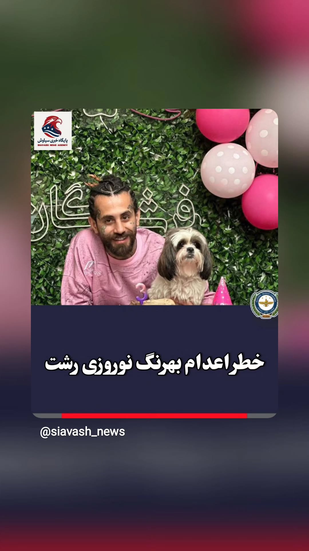  جدید ترین استوری اینستاگرام نگار استخر