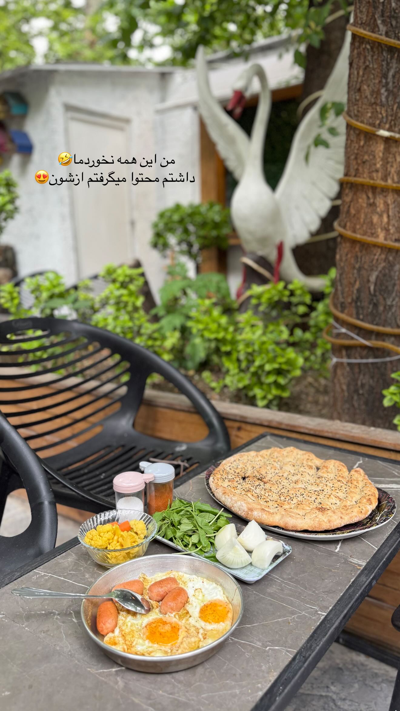  جدید ترین استوری اینستاگرام نگين عابدزاده