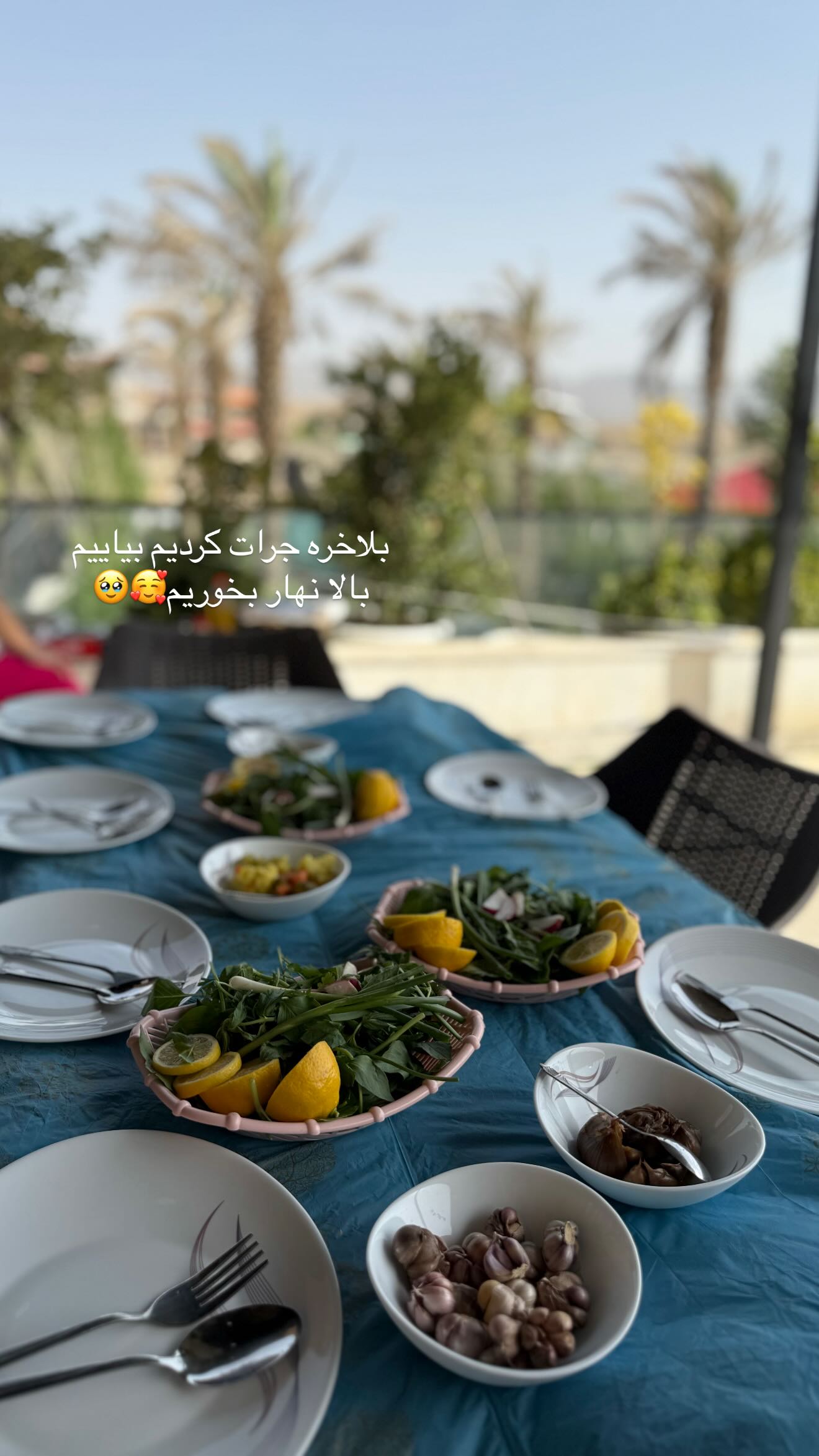 جدید ترین استوری اینستاگرام نگين عابدزاده