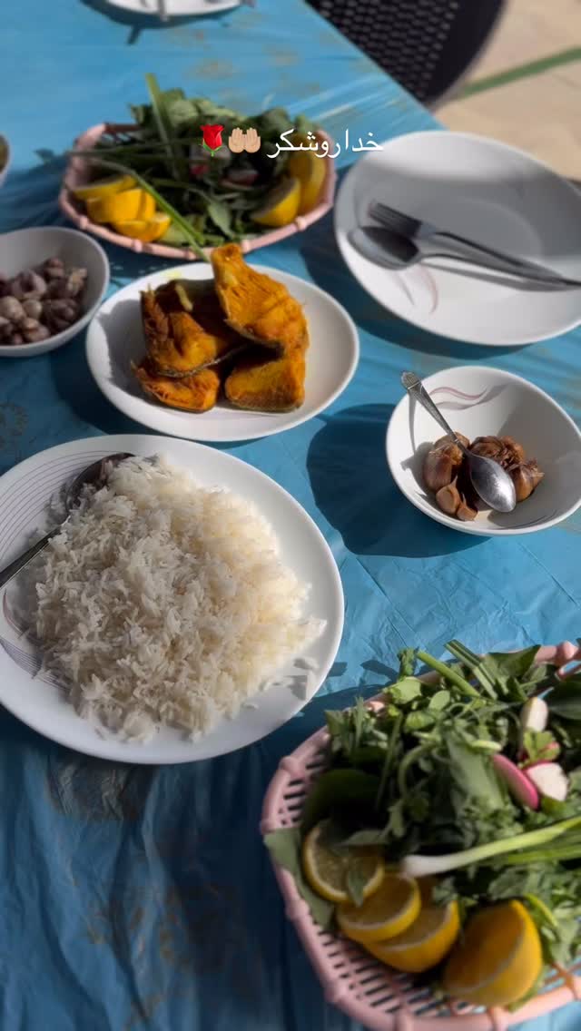  جدید ترین استوری اینستاگرام نگين عابدزاده