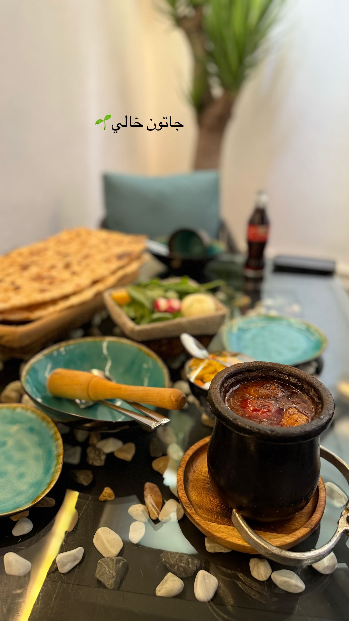  جدید ترین استوری اینستاگرام نگين عابدزاده