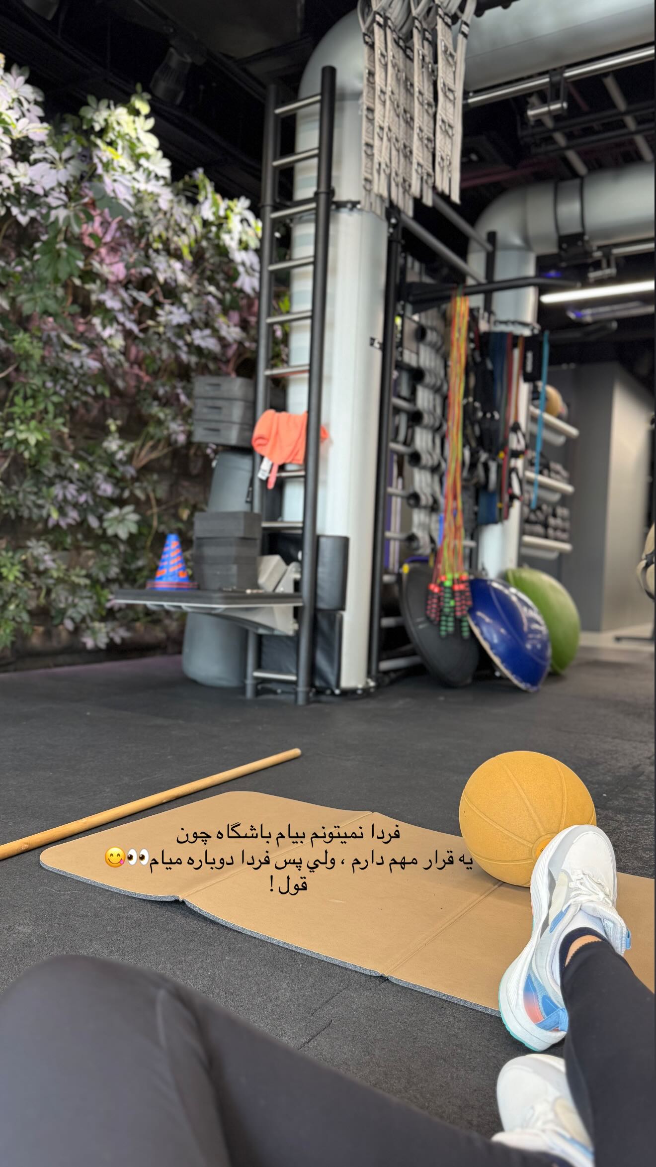  جدید ترین استوری اینستاگرام نگين عابدزاده
