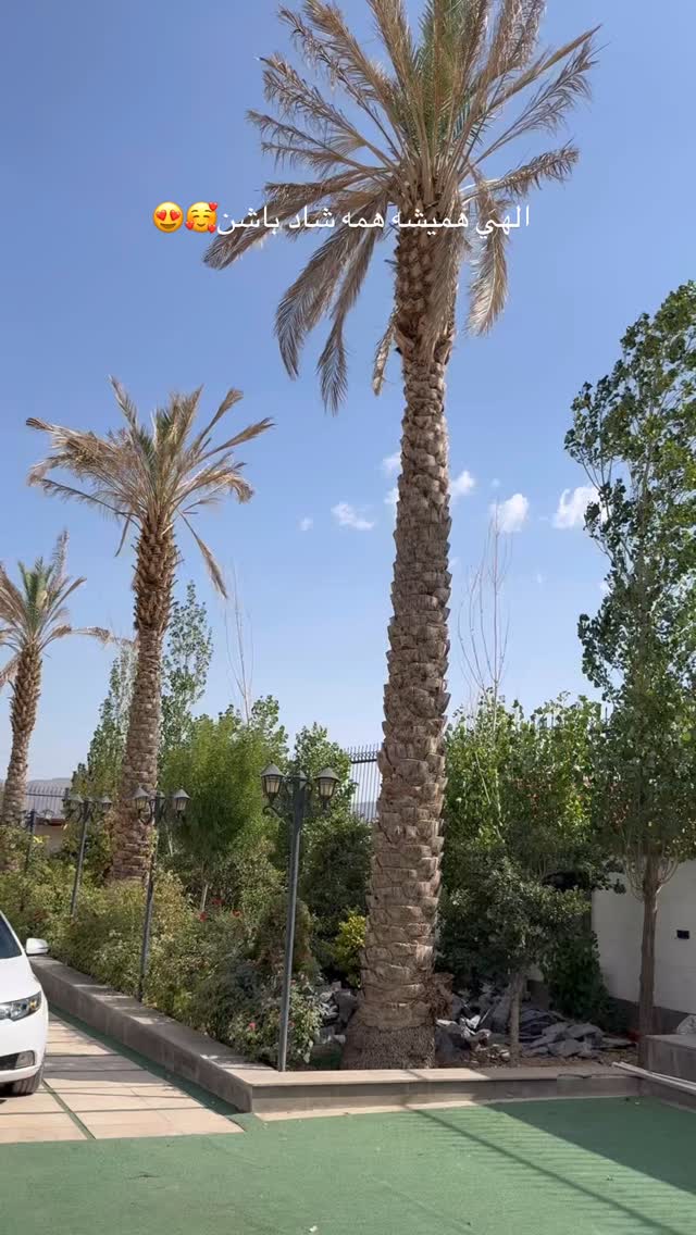 جدید ترین استوری اینستاگرام نگين عابدزاده