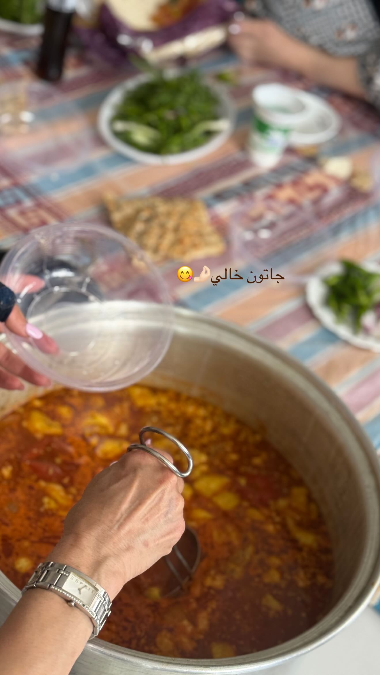  جدید ترین استوری اینستاگرام نگين عابدزاده