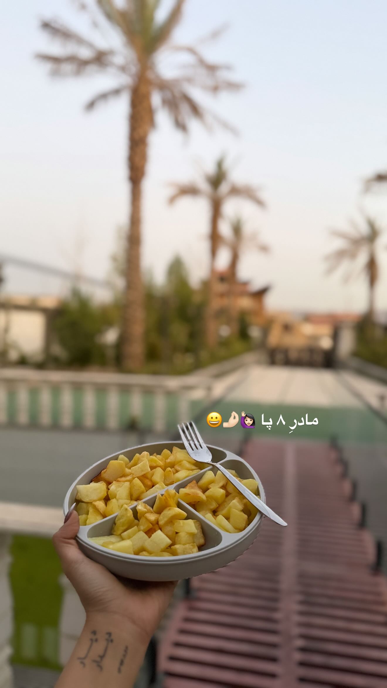  جدید ترین استوری اینستاگرام نگين عابدزاده