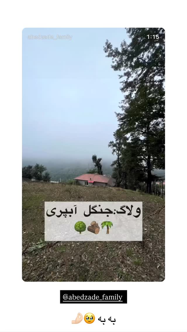  جدید ترین استوری اینستاگرام نگين عابدزاده