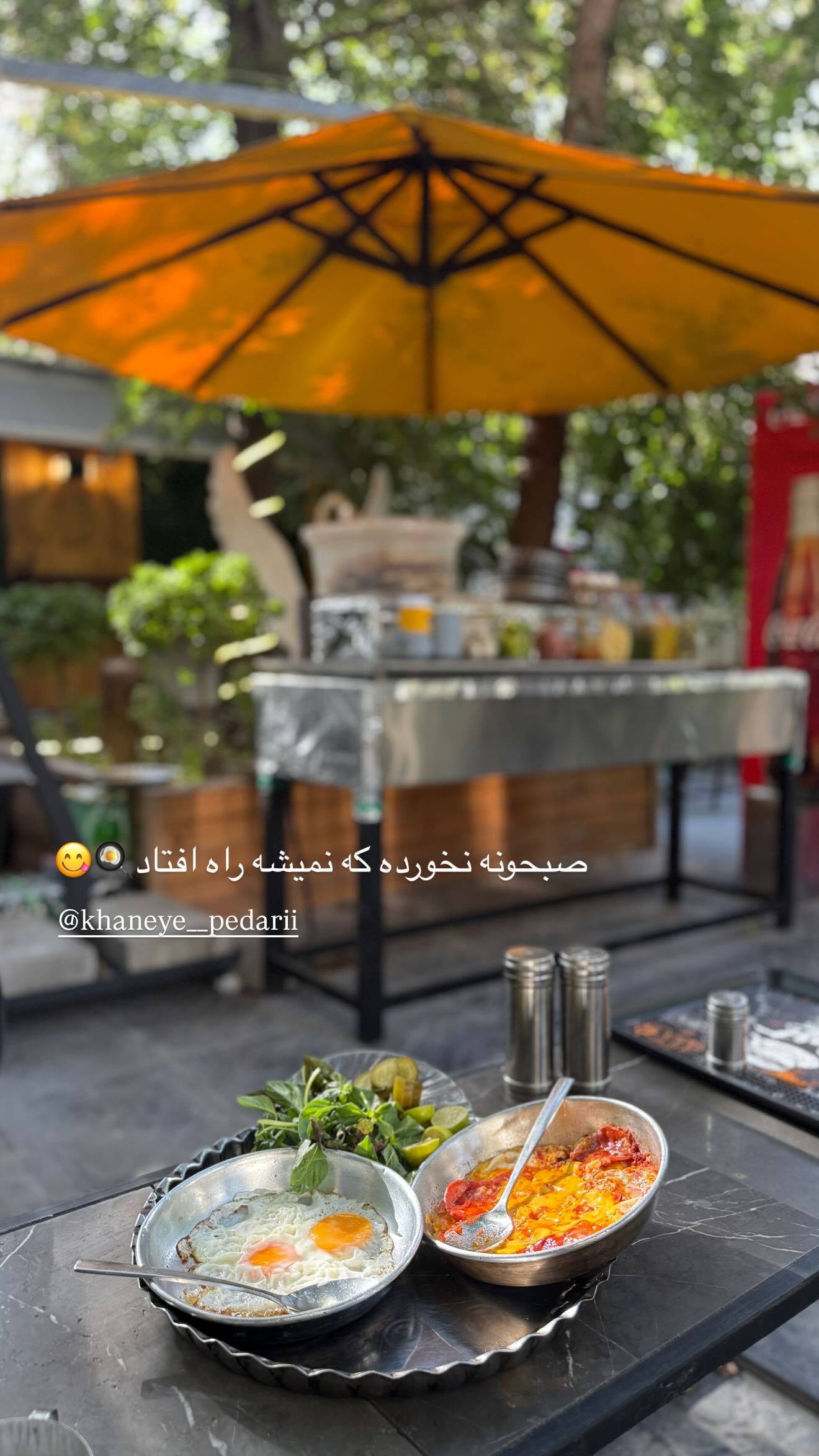  جدید ترین استوری اینستاگرام نگين عابدزاده