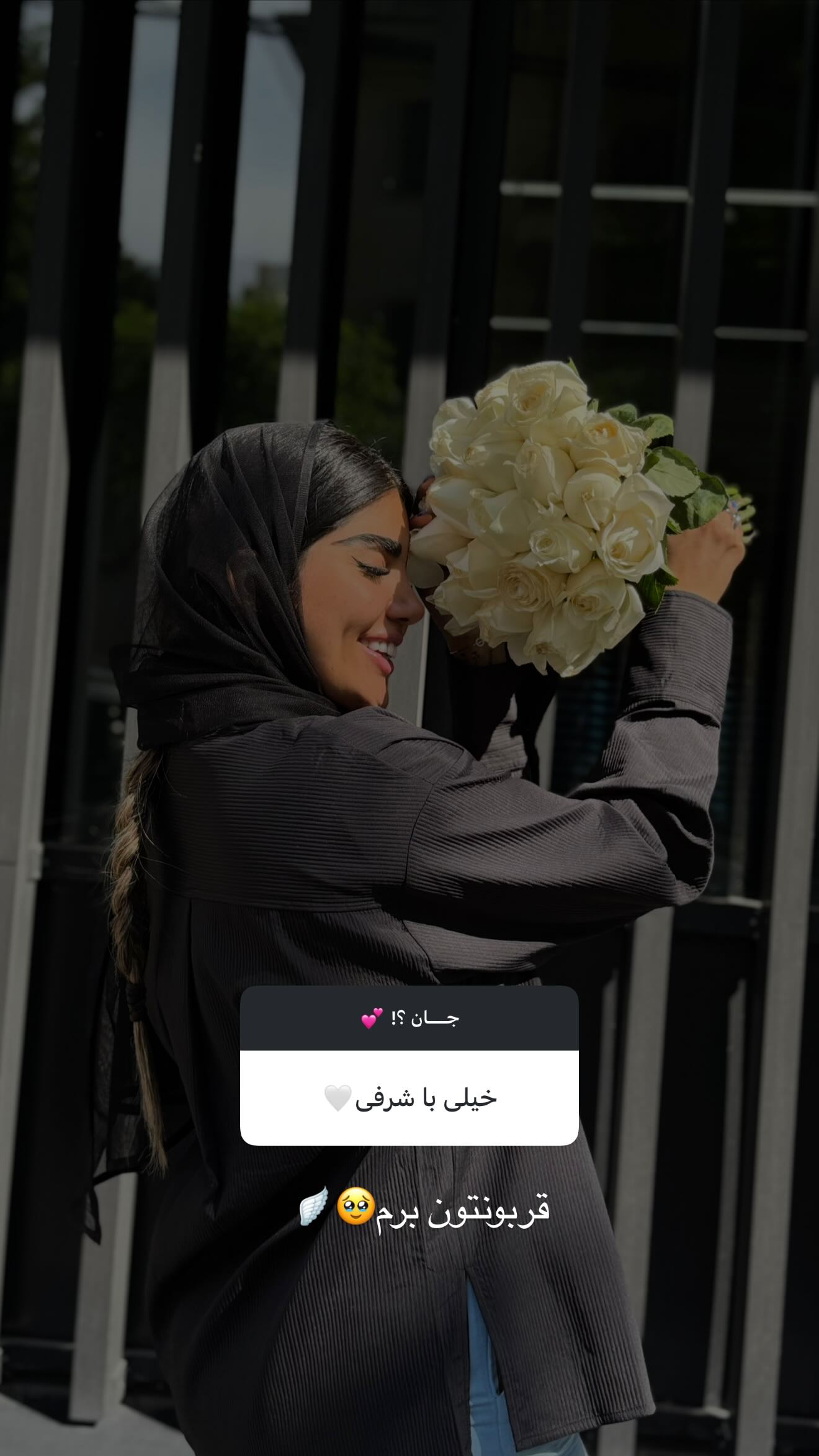  جدید ترین استوری اینستاگرام نگين عابدزاده