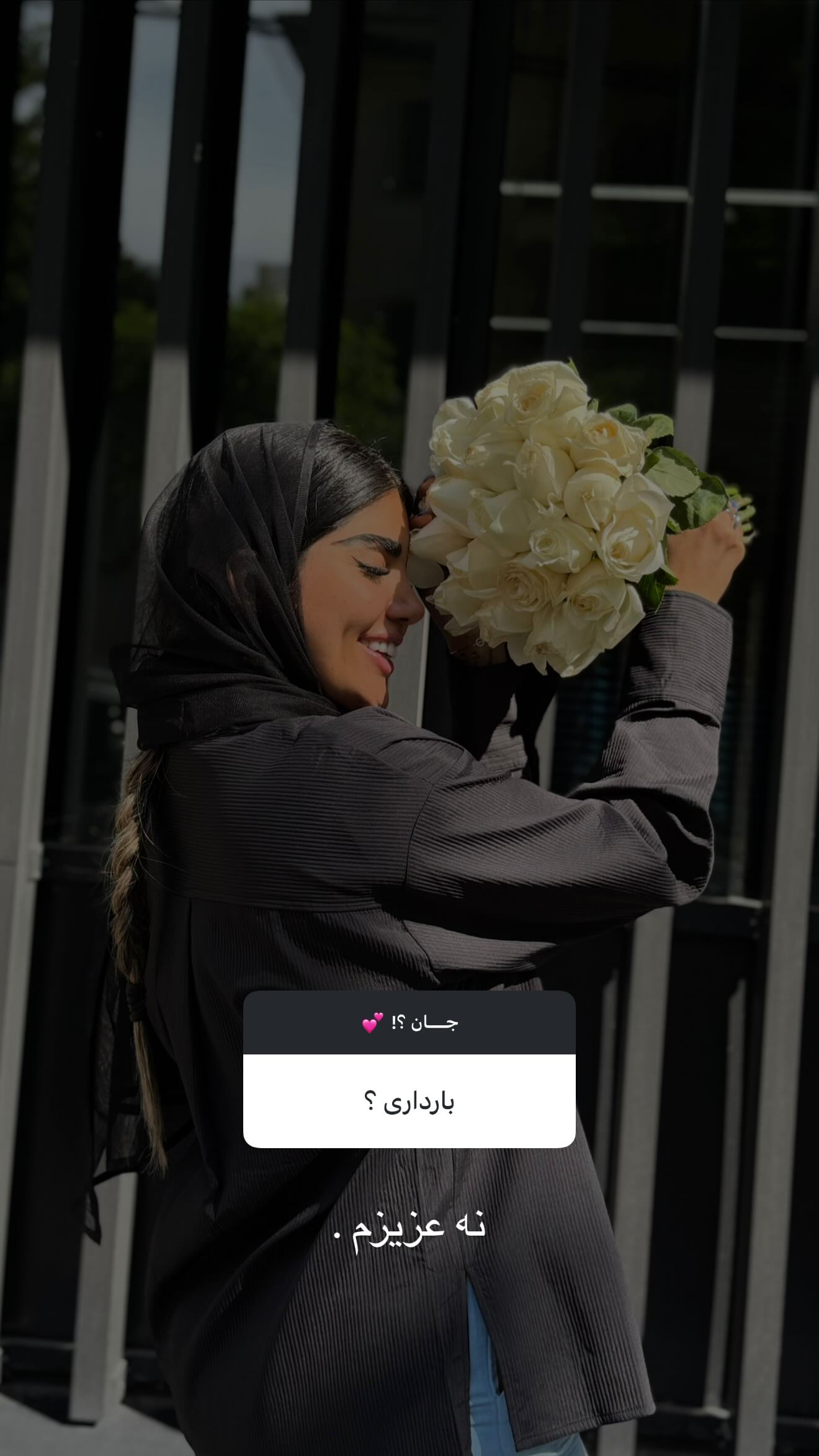  جدید ترین استوری اینستاگرام نگين عابدزاده