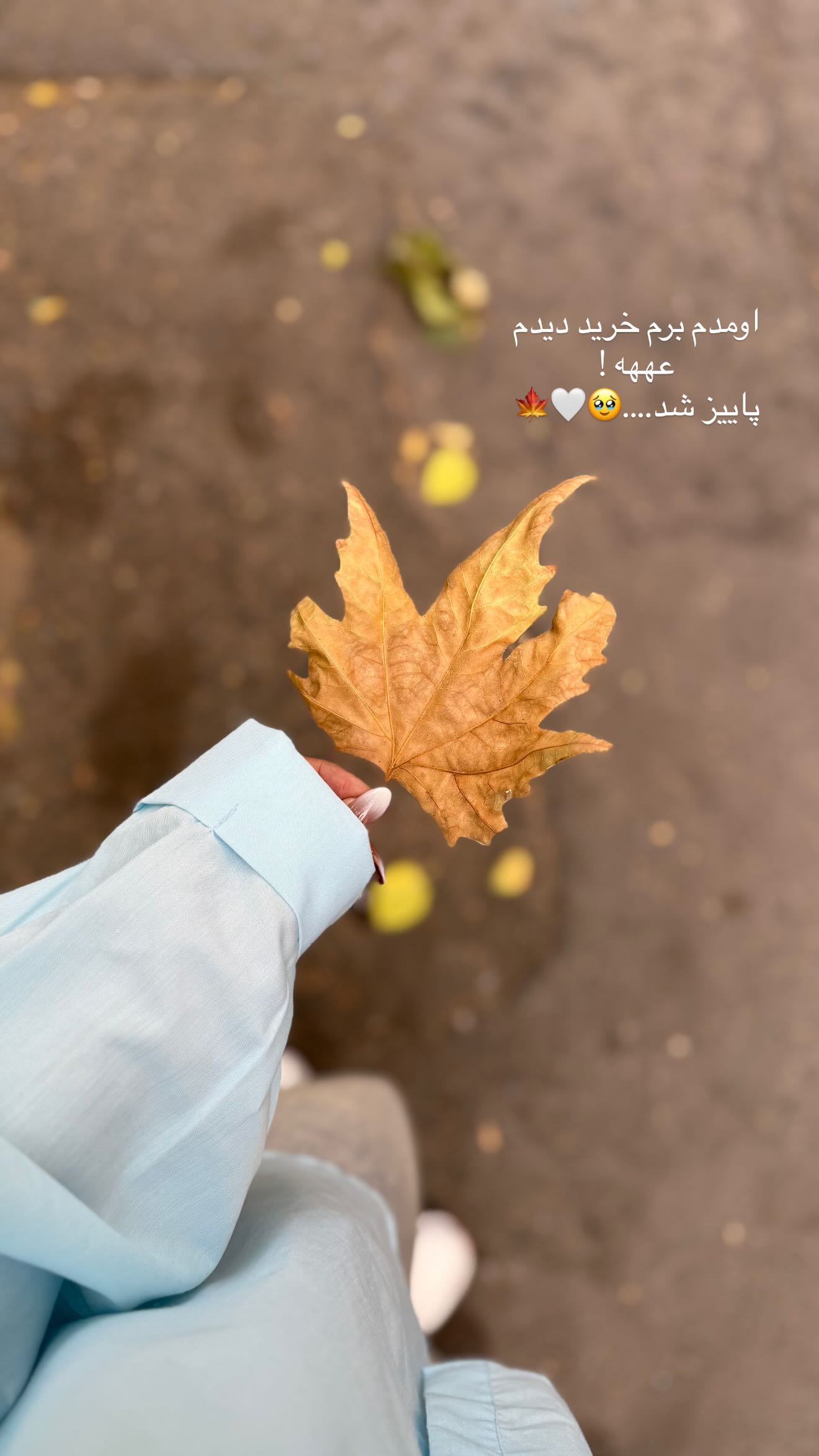  جدید ترین استوری اینستاگرام نگين عابدزاده