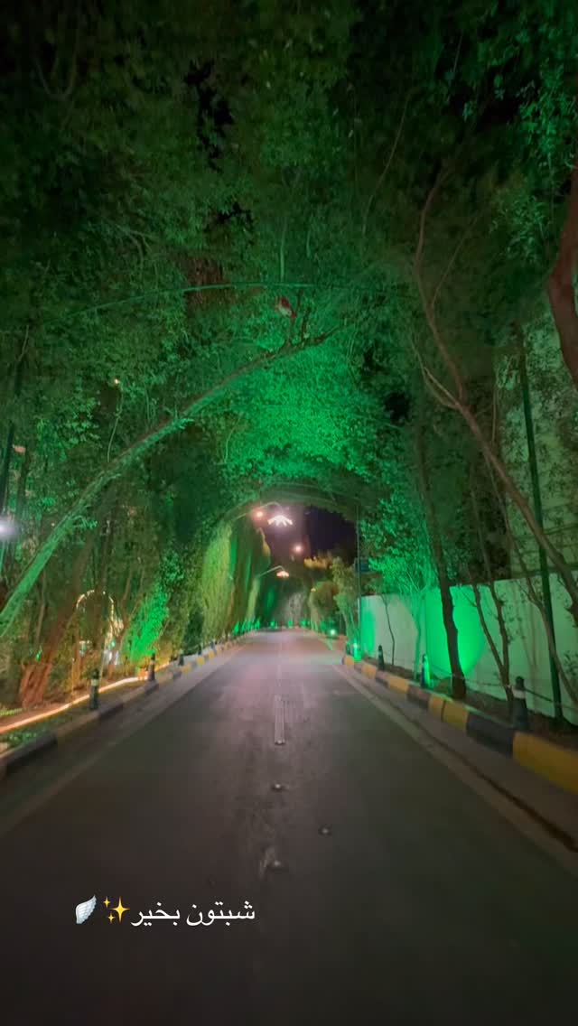  جدید ترین استوری اینستاگرام نگين عابدزاده