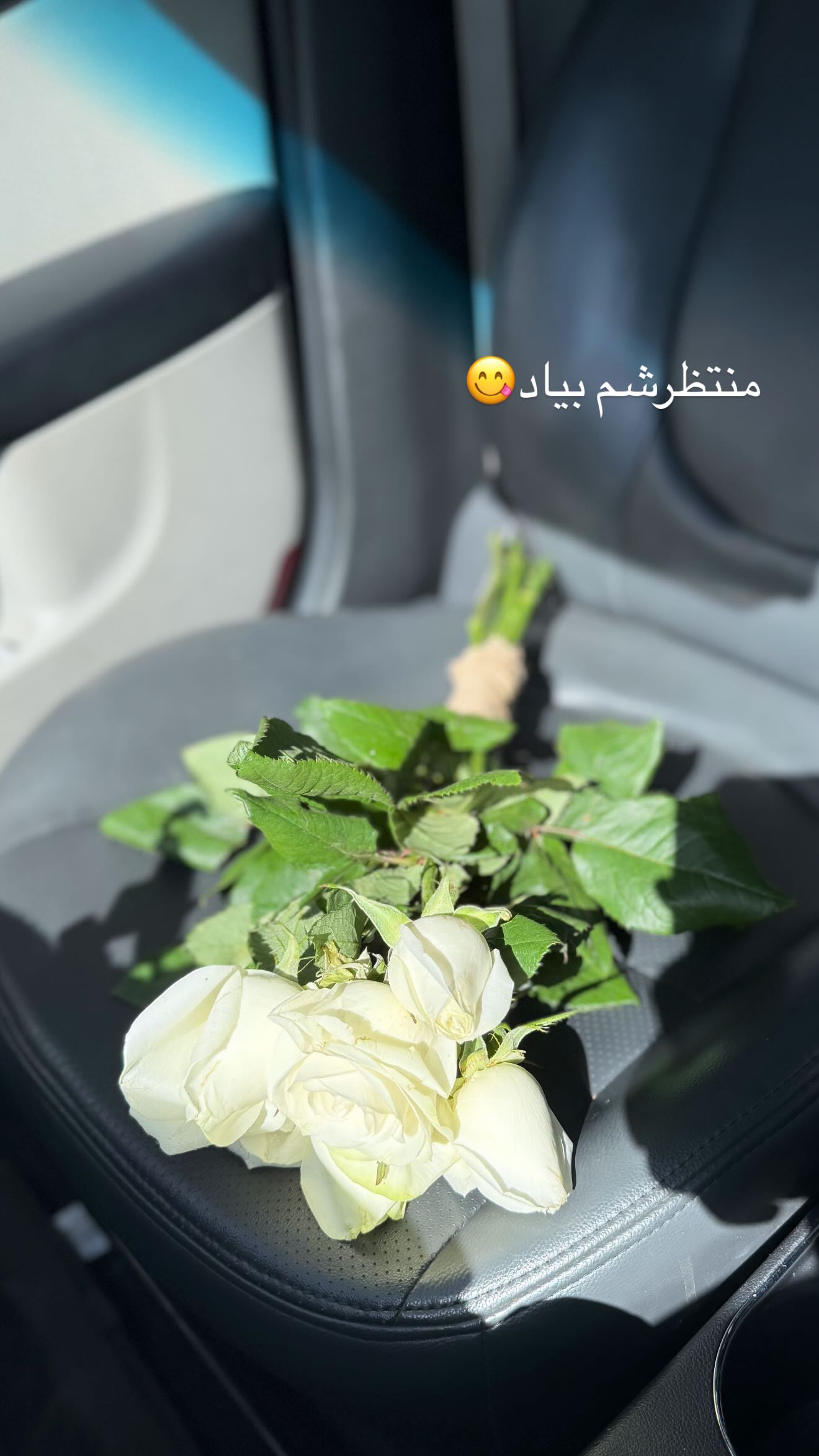  جدید ترین استوری اینستاگرام نگين عابدزاده