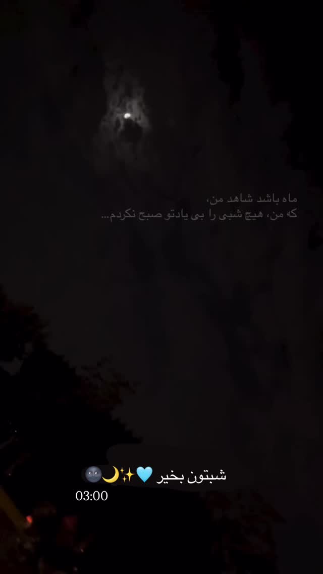  جدید ترین استوری اینستاگرام نگين عابدزاده