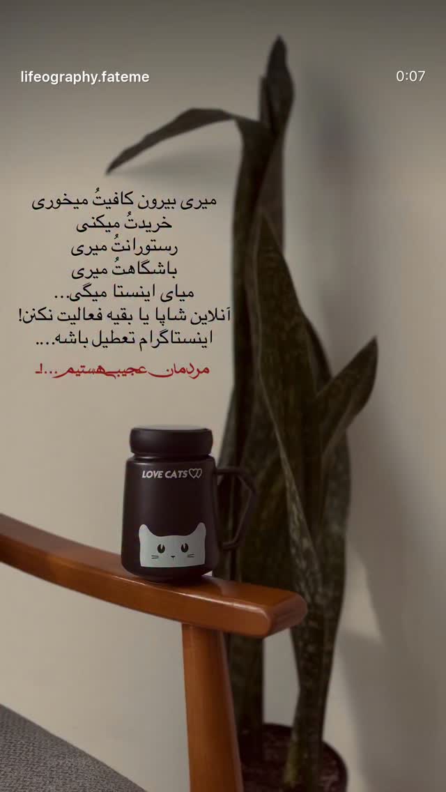  جدید ترین استوری اینستاگرام نگین کدیور