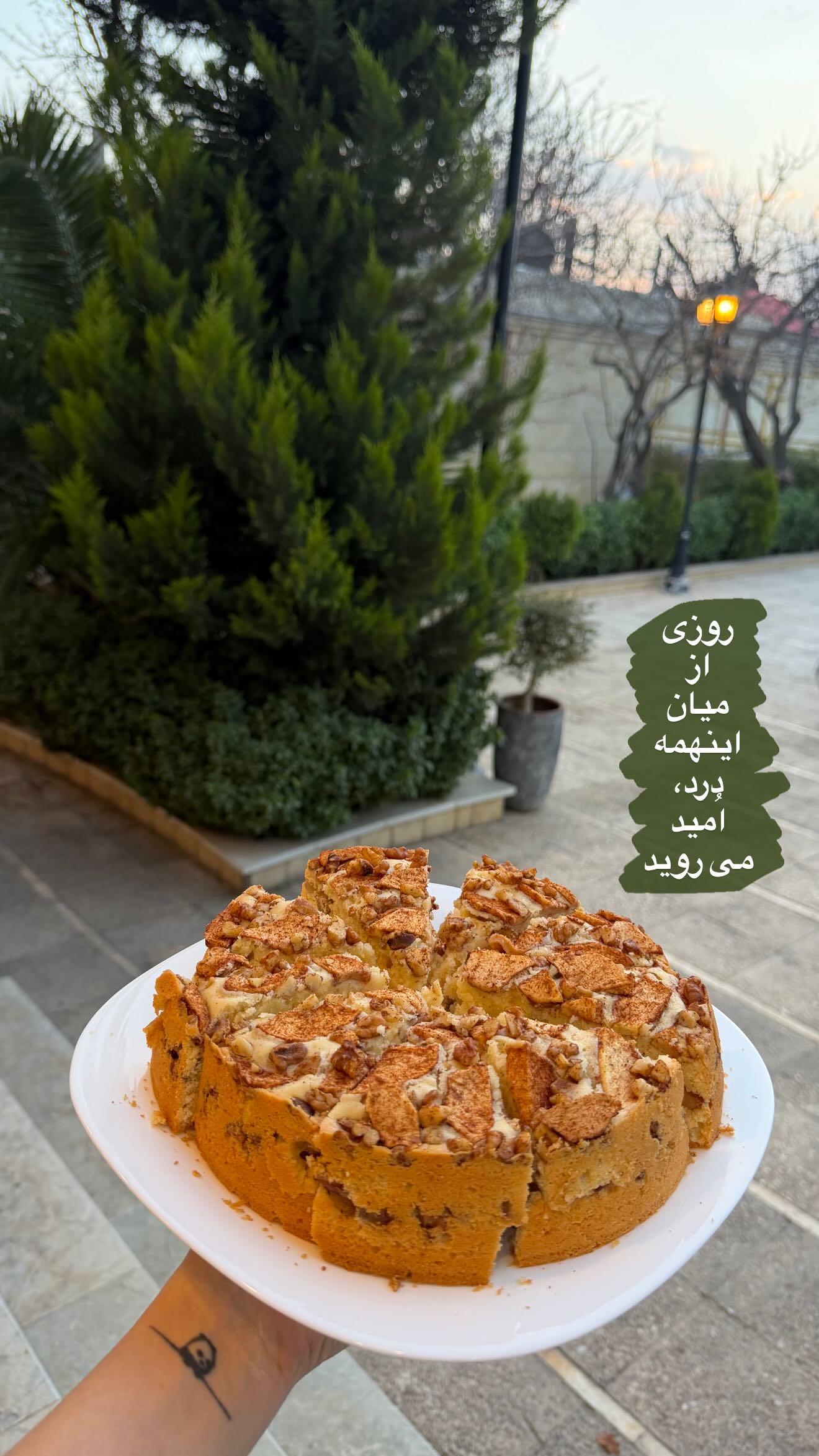  جدید ترین استوری اینستاگرام نگین کدیور