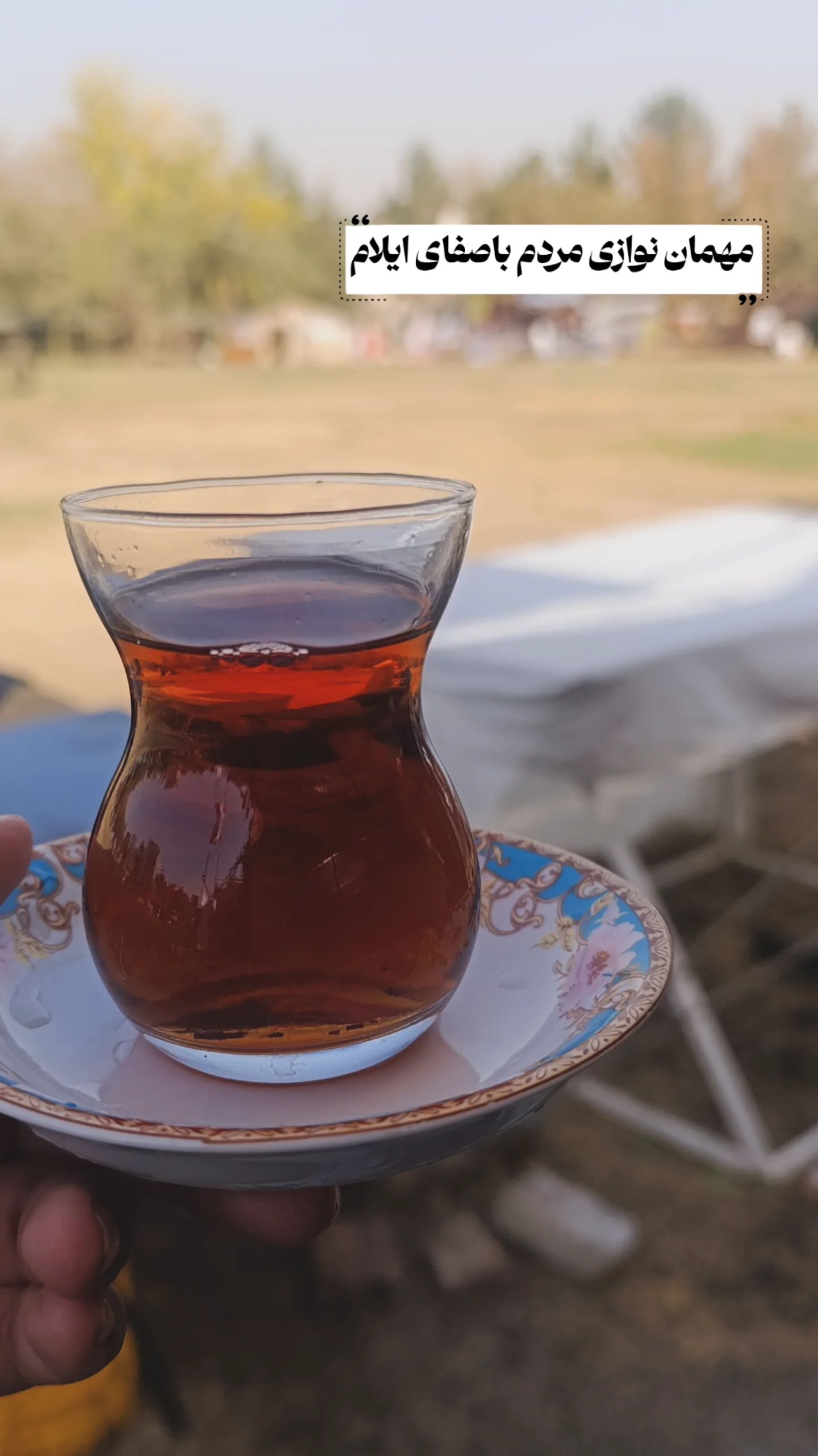  جدید ترین استوری اینستاگرام نگین مهمانکش