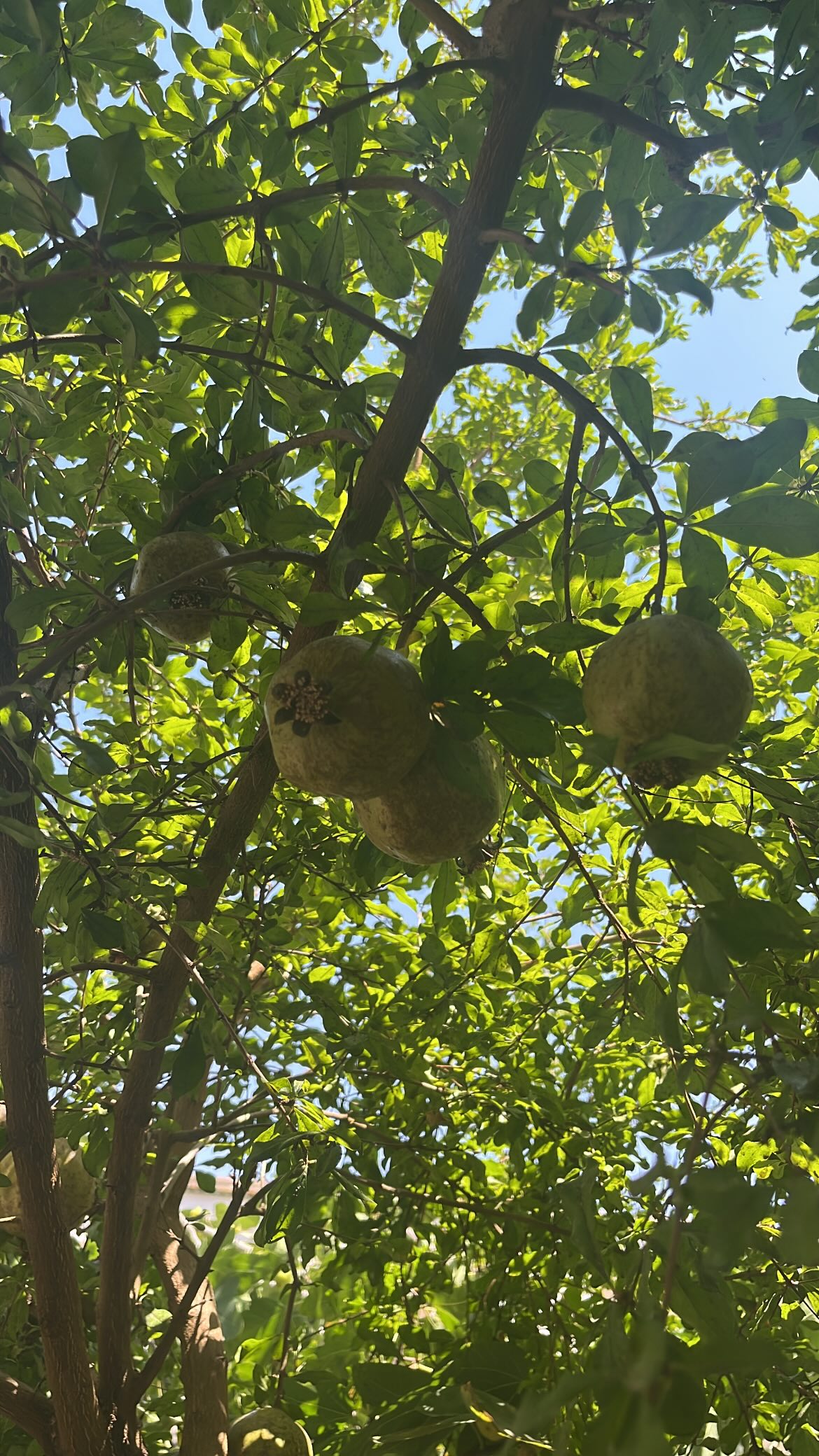  جدید ترین استوری اینستاگرام نگین معتضدی