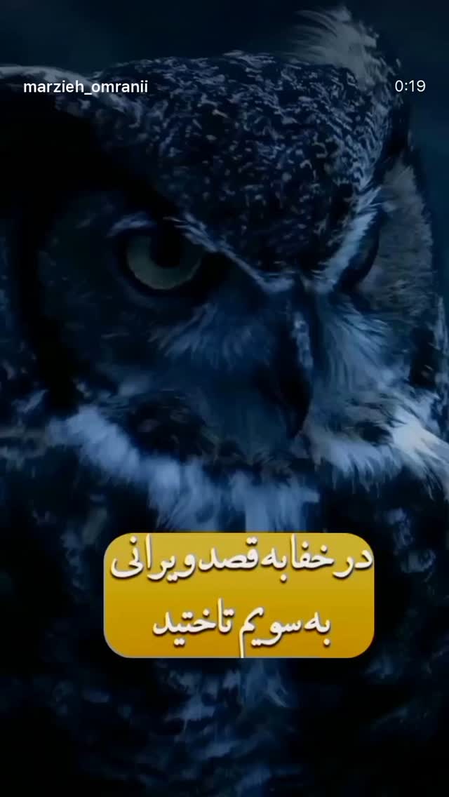  جدید ترین استوری اینستاگرام نگین معتضدی