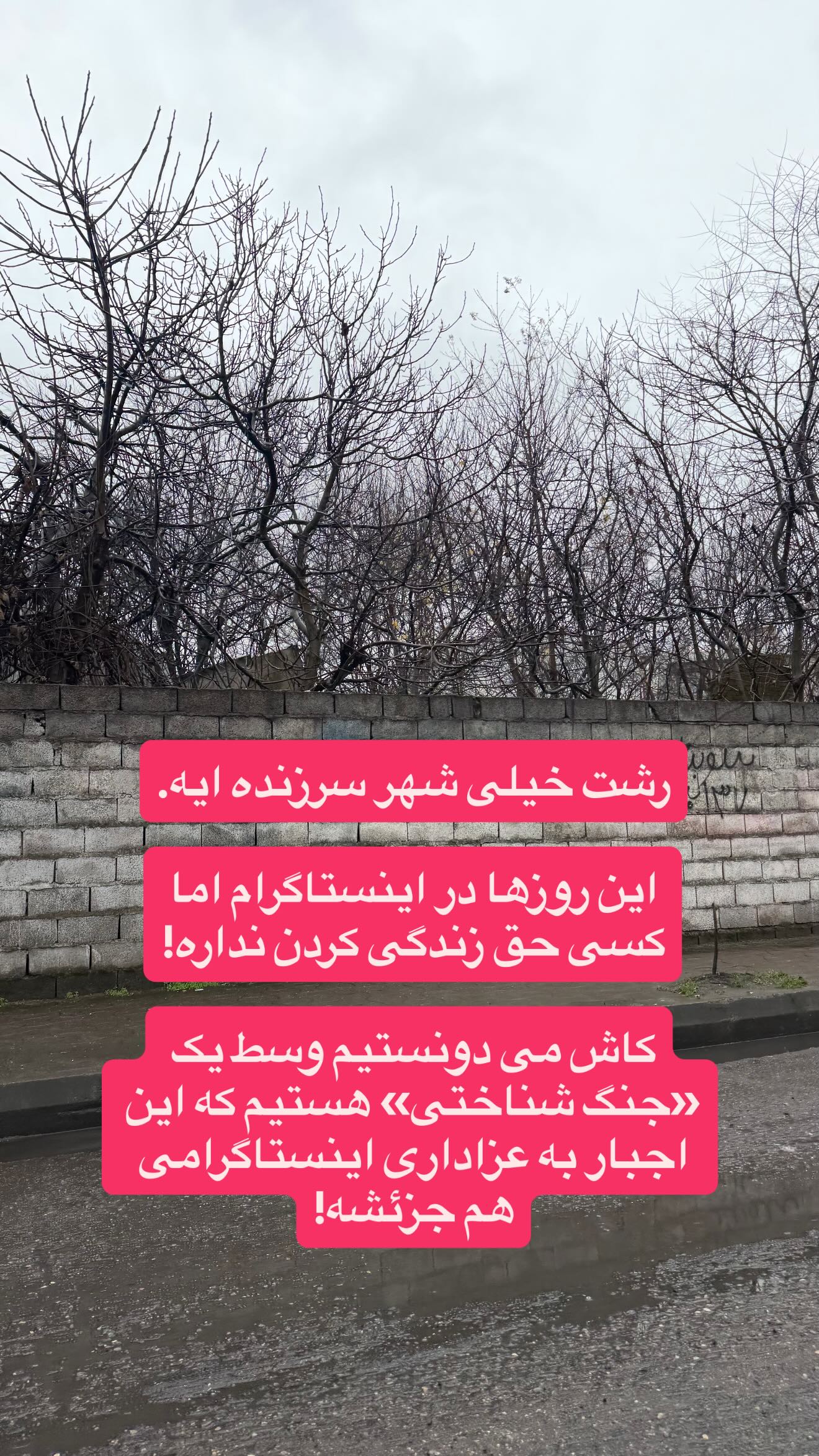  جدید ترین استوری اینستاگرام نردیشمی