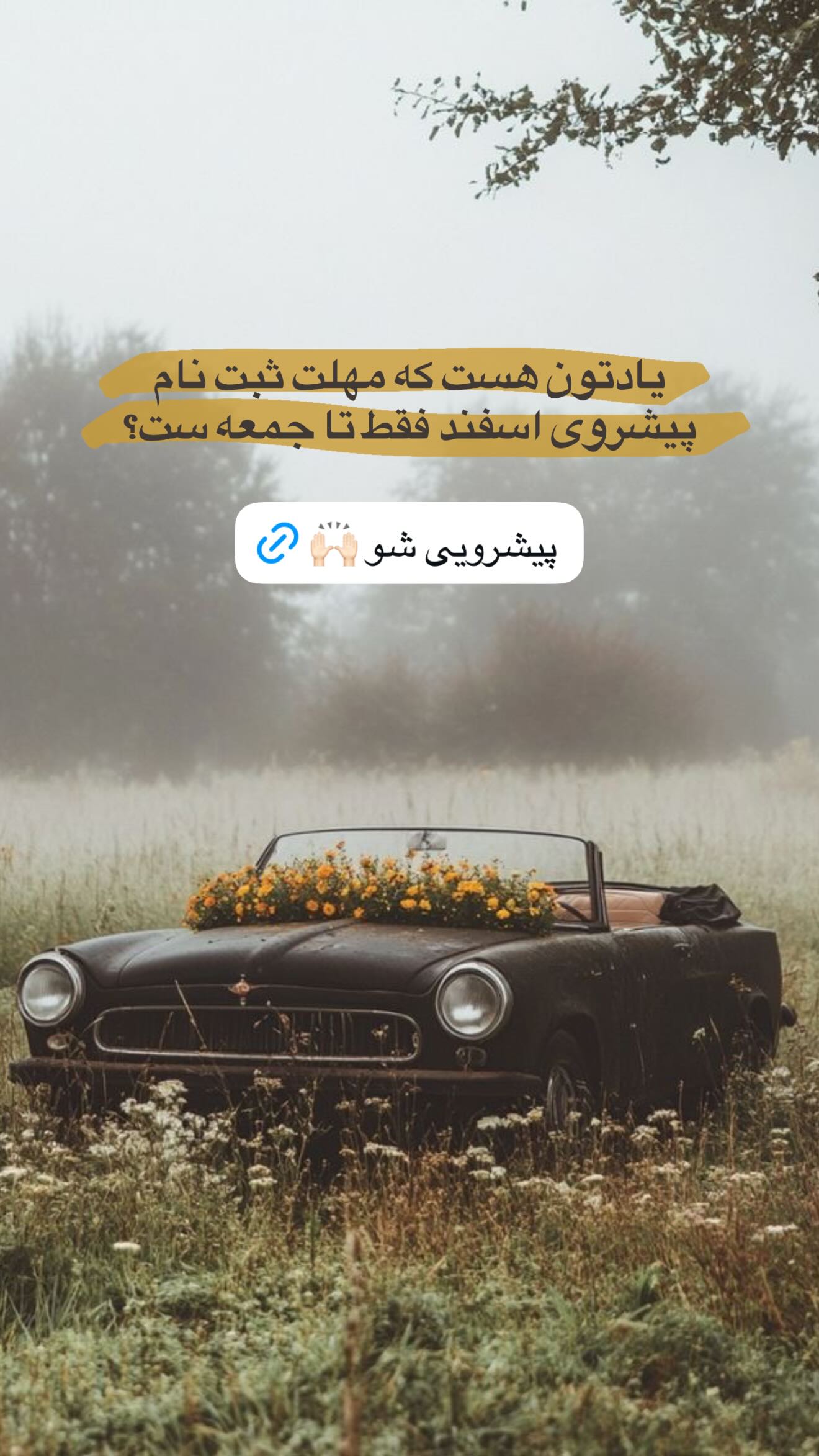  جدید ترین استوری اینستاگرام نردیشمی