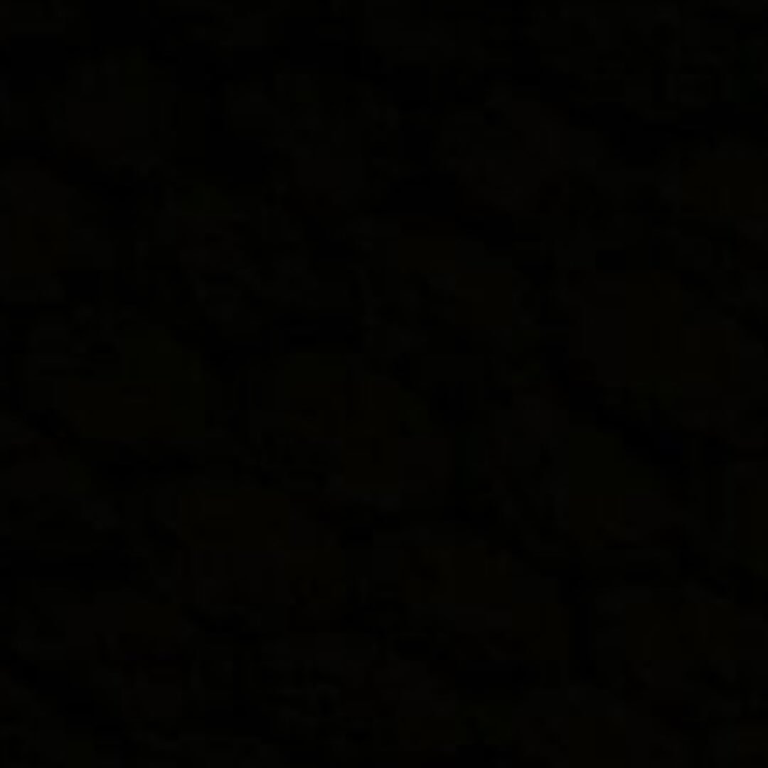  عکس پروفایل اینستاگرام نیوشا ضیغمی / newshazeighami