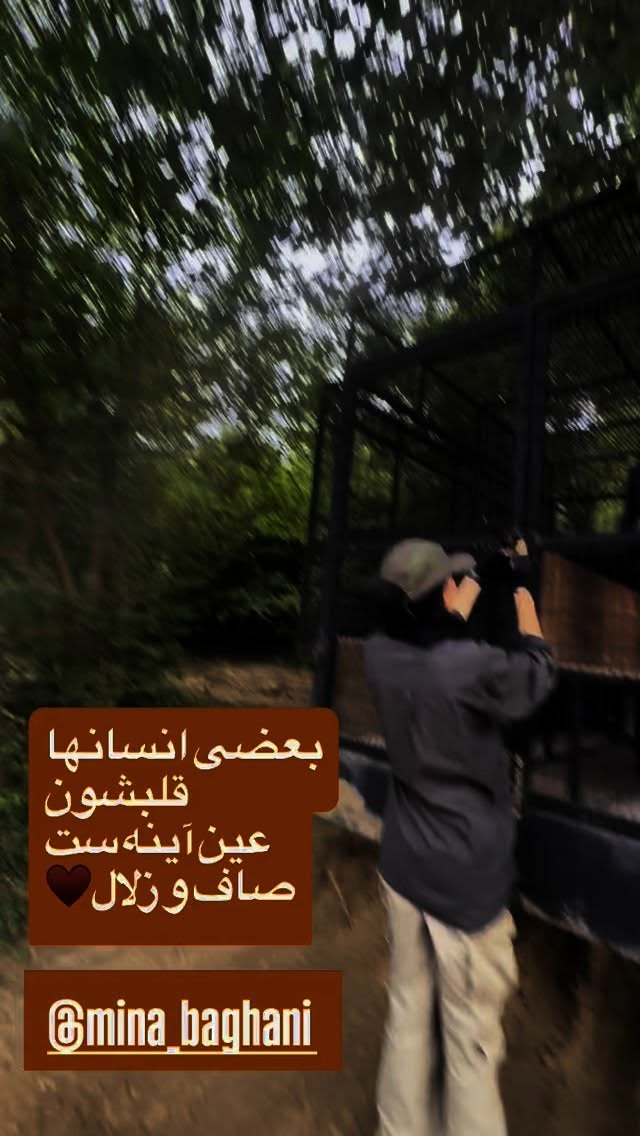  جدید ترین استوری اینستاگرام نیوشا ضیغمی