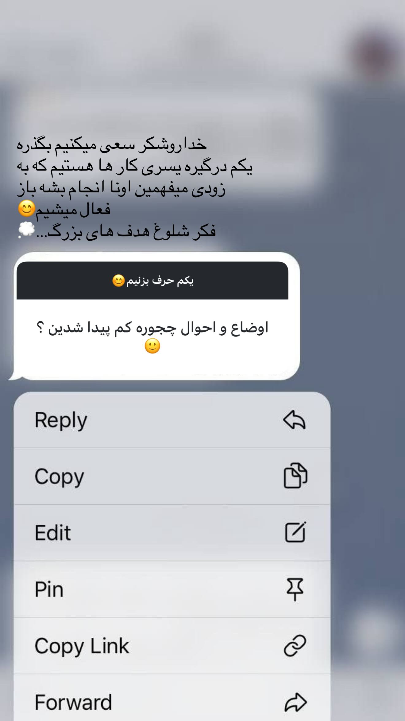  جدید ترین استوری اینستاگرام نیکا فرقانی اصل