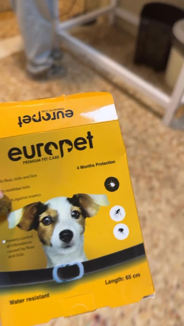  جدید ترین استوری اینستاگرام نیکگاد