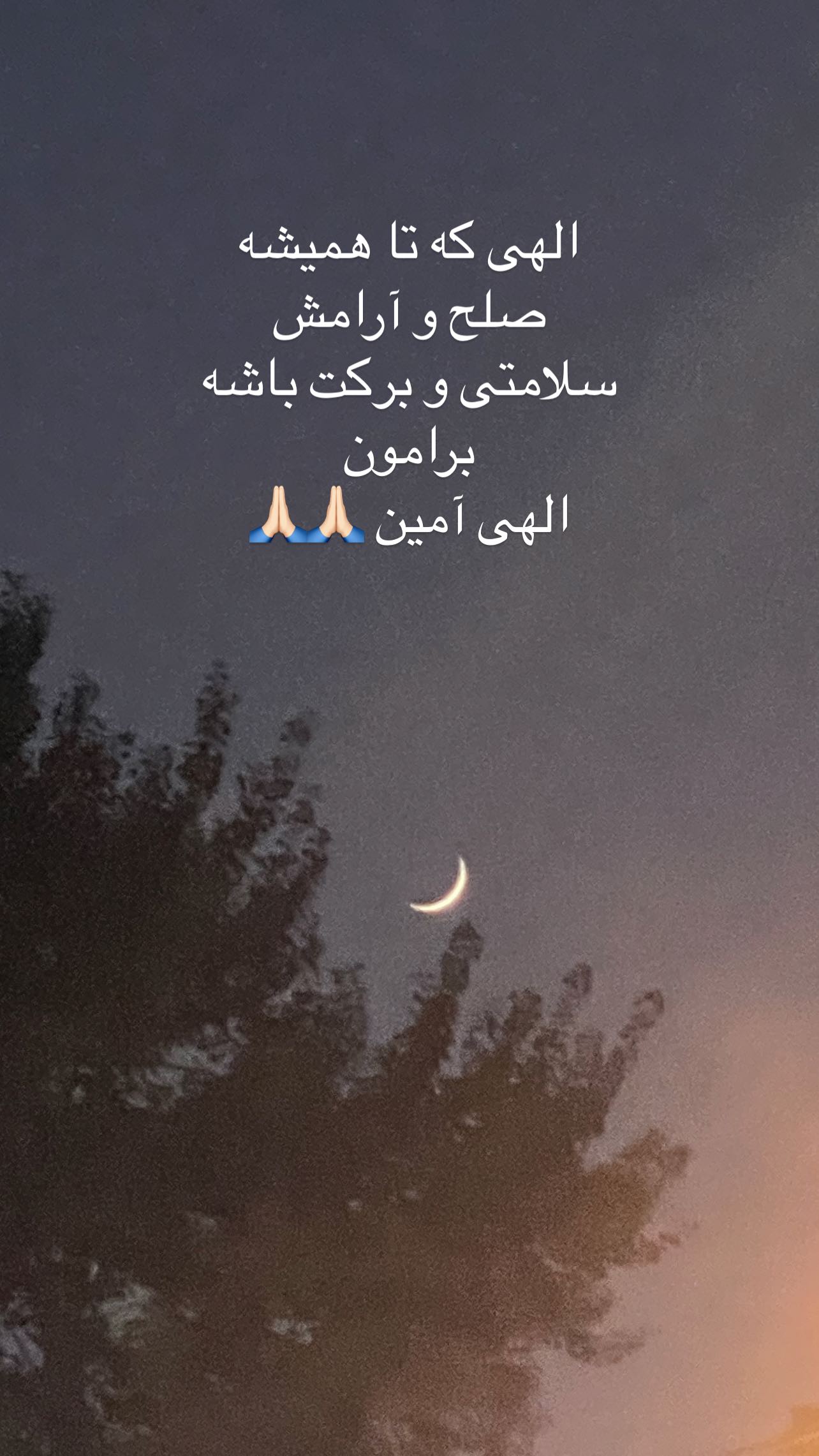 جدید ترین استوری اینستاگرام نیکی مظفری